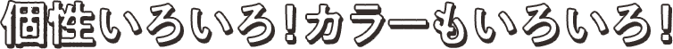 個性いろいろ!カラーもいろいろ!