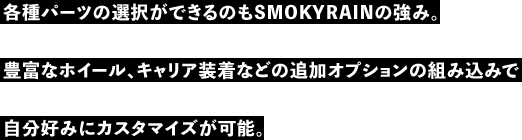 各種パーツの選択ができるのもSMOKYRAINの強み。豊富なホイール、キャリア装着などの追加オプションの組み込みで自分好みにカスタマイズが可能。