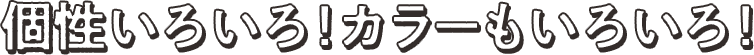 個性いろいろ！カラーもいろいろ！